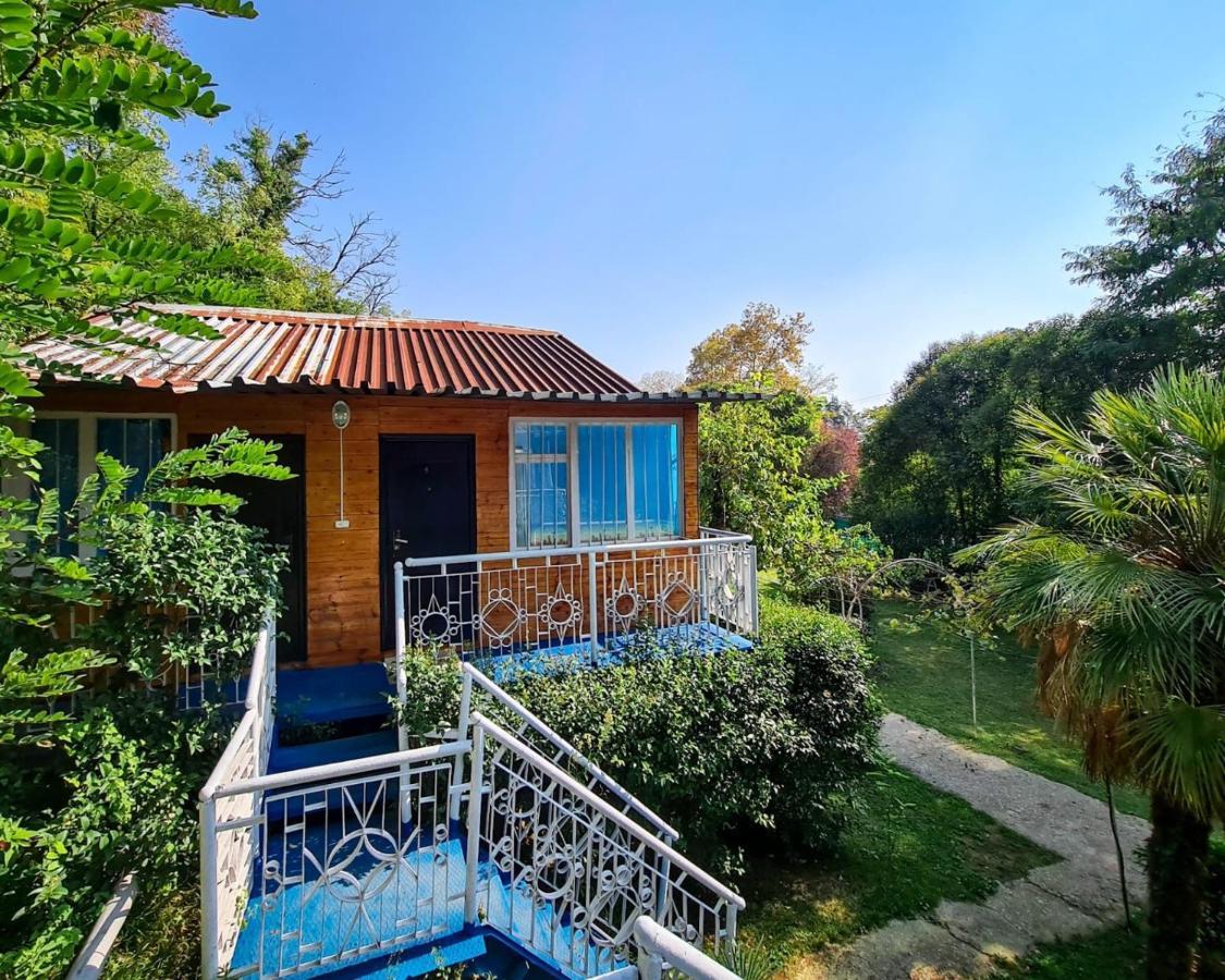 Baza Otdyha Miya Hotel Gudauta Ngoại thất bức ảnh