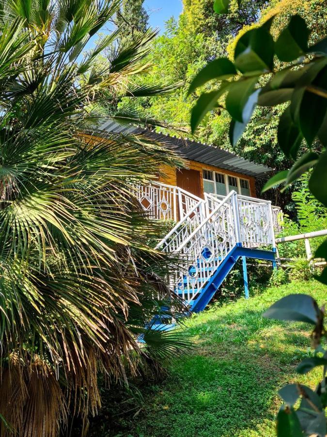 Baza Otdyha Miya Hotel Gudauta Ngoại thất bức ảnh